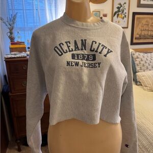 Champion Gray Cropped Sweatshirt